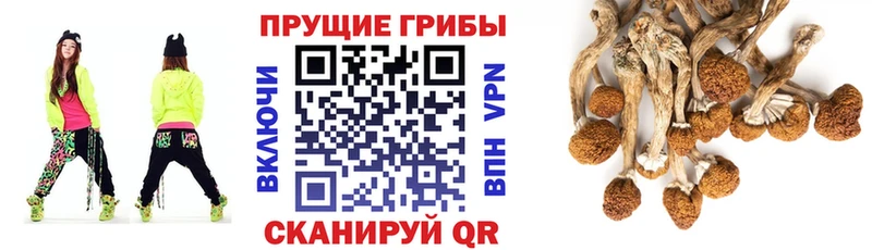 Псилоцибиновые грибы прущие грибы  это наркотические препараты  Оханск  цена наркотик 